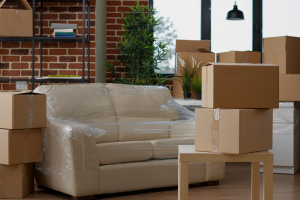Furniture Moving
